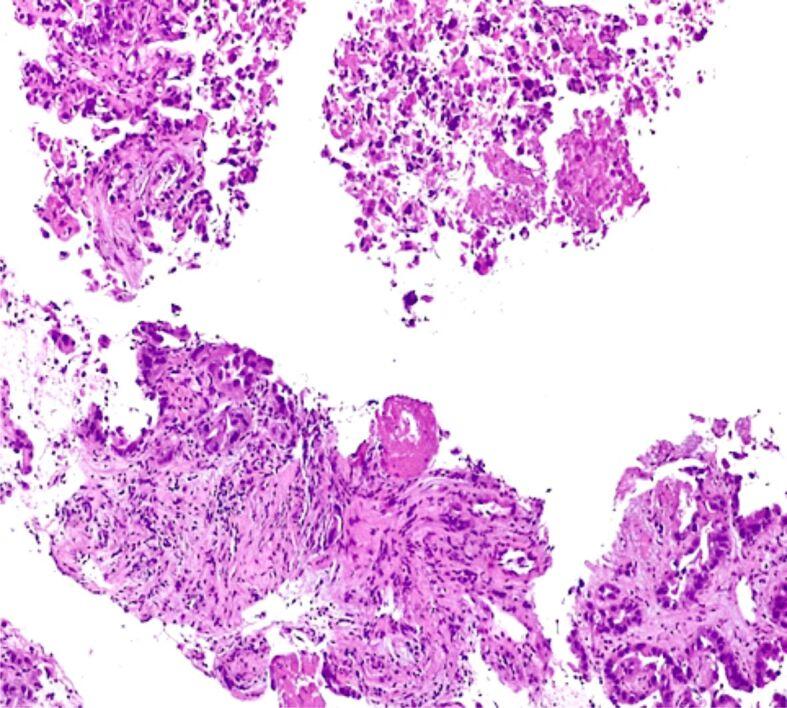 https://cdn.ncbi.nlm.nih.gov/pmc/blobs/9117/9019676/0924d338e44f/RJME-62-3-723-fig2.jpg