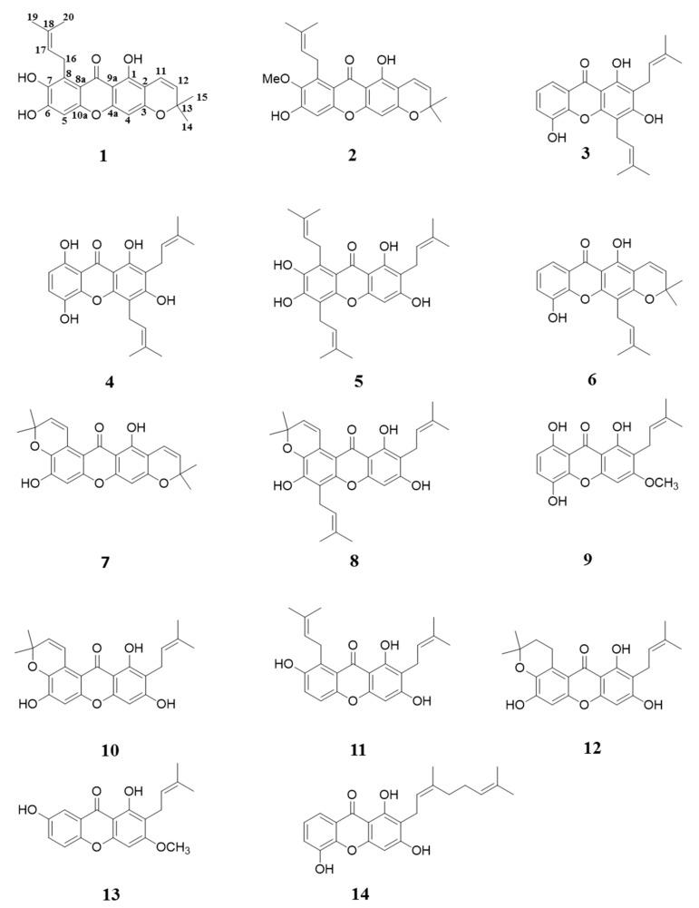 https://cdn.ncbi.nlm.nih.gov/pmc/blobs/911a/6154529/178f83197be6/molecules-22-00683-g001.jpg