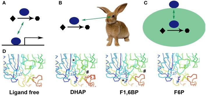 https://cdn.ncbi.nlm.nih.gov/pmc/blobs/911b/4473056/4820a41d5986/fgene-06-00211-g0001.jpg