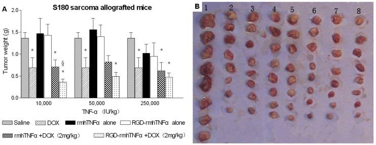 https://cdn.ncbi.nlm.nih.gov/pmc/blobs/911d/3899378/804b41eb7b6c/pone.0087036.g003.jpg