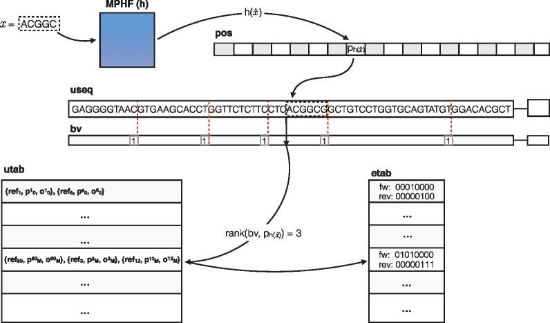 https://cdn.ncbi.nlm.nih.gov/pmc/blobs/911d/6022659/e394be79399b/bty292f1.jpg