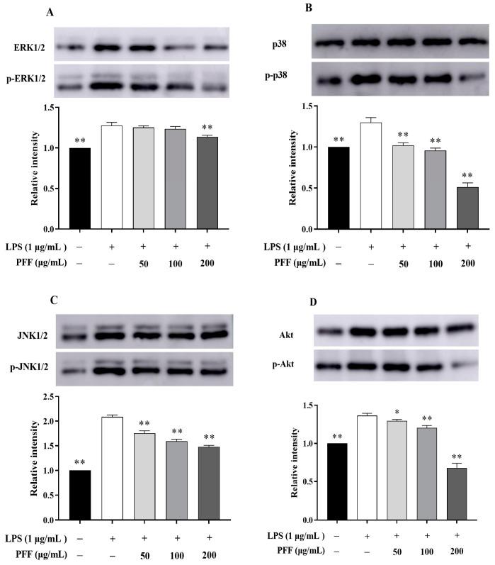 https://cdn.ncbi.nlm.nih.gov/pmc/blobs/911e/10417441/50c043be40c1/foods-12-02889-g003.jpg