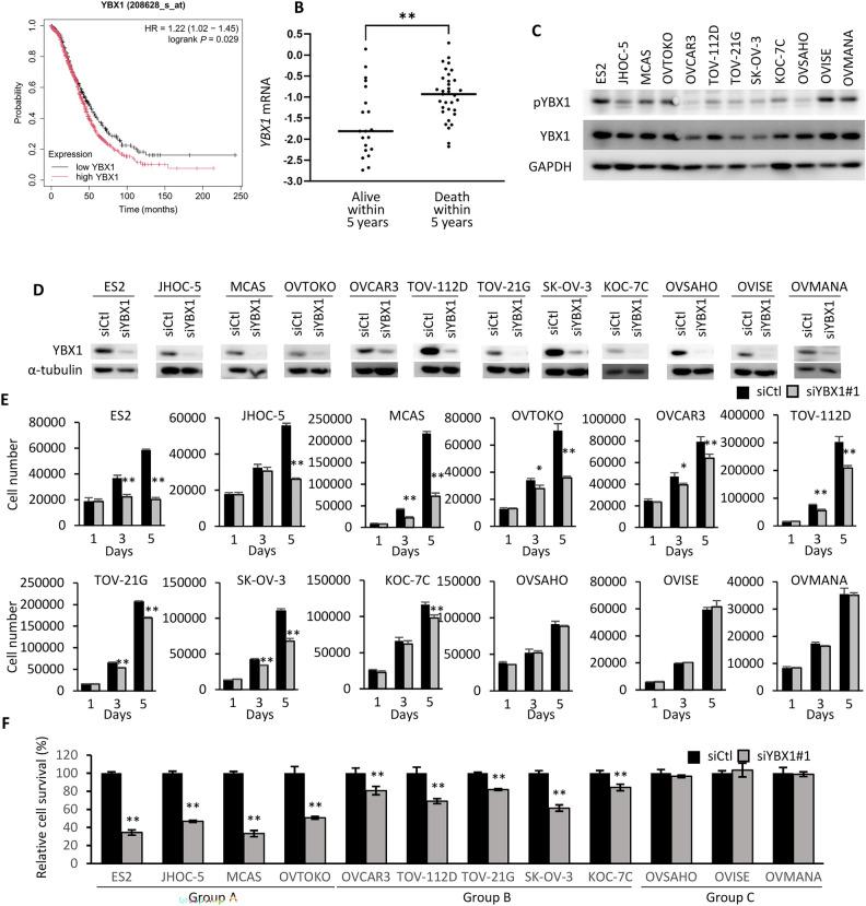 https://cdn.ncbi.nlm.nih.gov/pmc/blobs/911f/11408696/26883a8ef3d8/41598_2024_72174_Fig1_HTML.jpg