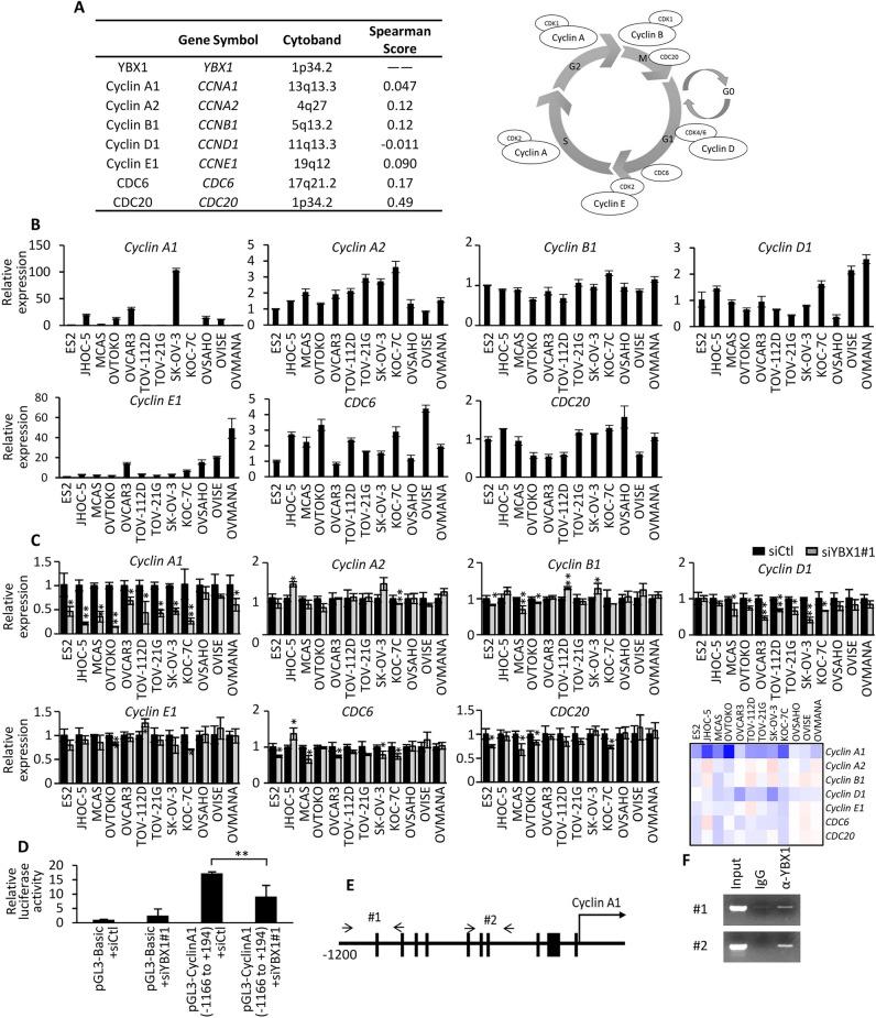https://cdn.ncbi.nlm.nih.gov/pmc/blobs/911f/11408696/78e81edd8001/41598_2024_72174_Fig3_HTML.jpg