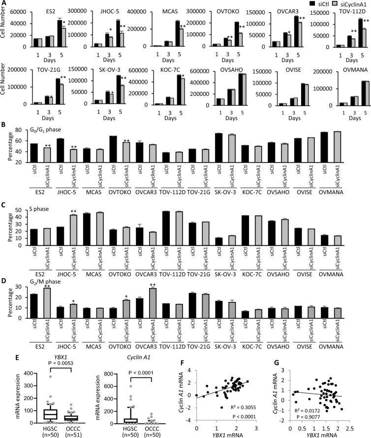 https://cdn.ncbi.nlm.nih.gov/pmc/blobs/911f/11408696/e06a4b540faa/41598_2024_72174_Fig5_HTML.jpg