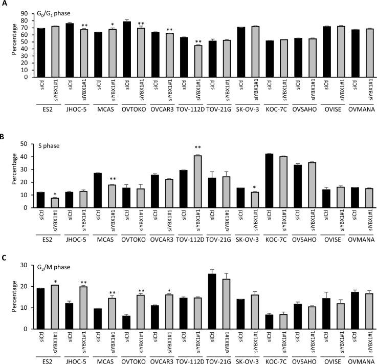 https://cdn.ncbi.nlm.nih.gov/pmc/blobs/911f/11408696/efc460fc3cd6/41598_2024_72174_Fig2_HTML.jpg