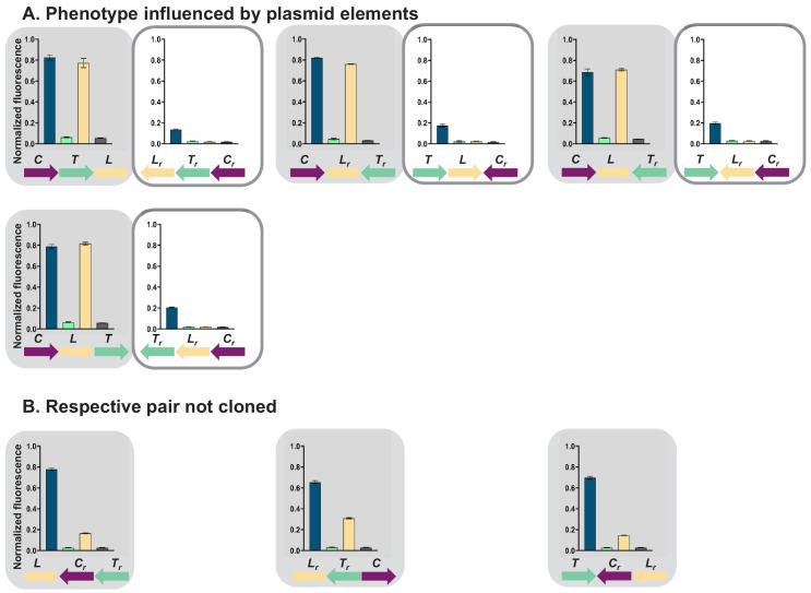 https://cdn.ncbi.nlm.nih.gov/pmc/blobs/911f/7968929/23f6206d7708/elife-65993-fig1-figsupp3.jpg