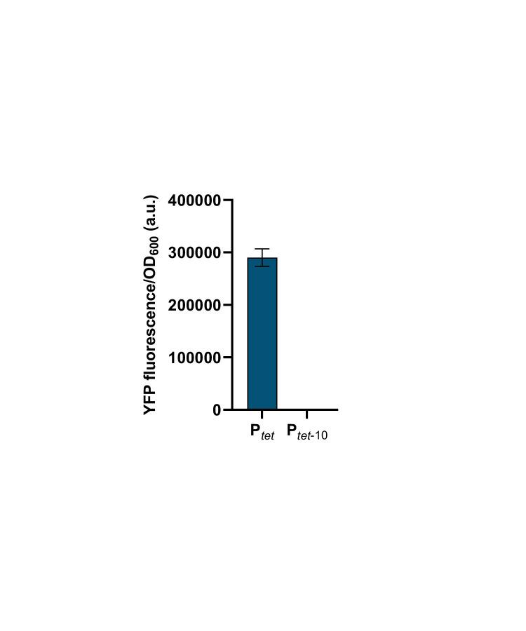 https://cdn.ncbi.nlm.nih.gov/pmc/blobs/911f/7968929/318a93f79c56/elife-65993-fig4-figsupp2.jpg
