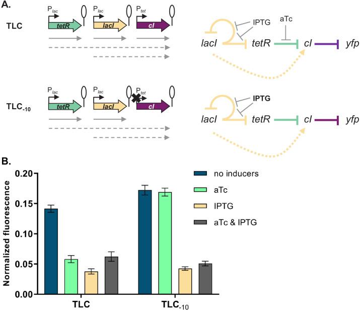 https://cdn.ncbi.nlm.nih.gov/pmc/blobs/911f/7968929/4b00bb6acca4/elife-65993-fig4.jpg