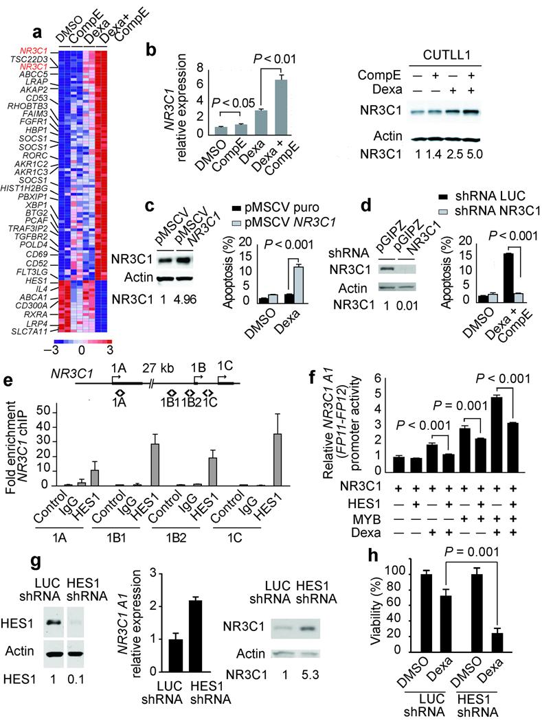 https://cdn.ncbi.nlm.nih.gov/pmc/blobs/9120/2692090/4641c73e0277/nihms103250f2.jpg