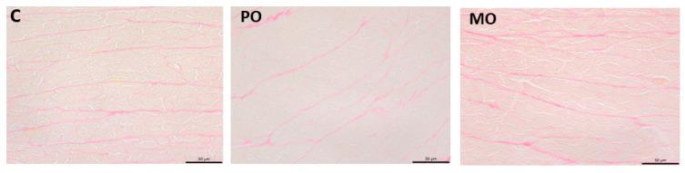 https://cdn.ncbi.nlm.nih.gov/pmc/blobs/9121/10456557/117b4f79fd3e/metabolites-13-00902-g004.jpg