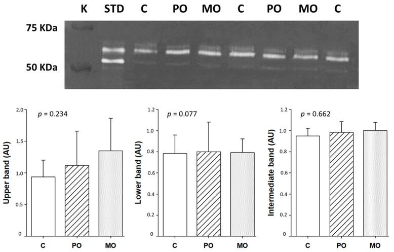 https://cdn.ncbi.nlm.nih.gov/pmc/blobs/9121/10456557/a1bf7977477a/metabolites-13-00902-g005.jpg