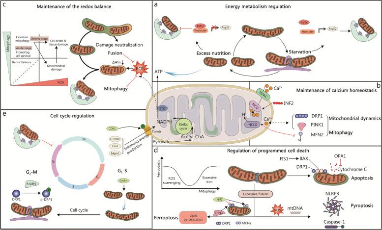https://cdn.ncbi.nlm.nih.gov/pmc/blobs/9122/11134732/b7b62826e379/40779_2024_536_Fig2_HTML.jpg