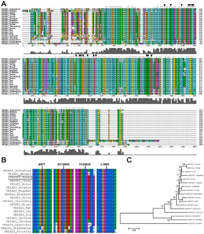 https://cdn.ncbi.nlm.nih.gov/pmc/blobs/9125/2874009/640a01777d69/pone.0010760.g002.jpg