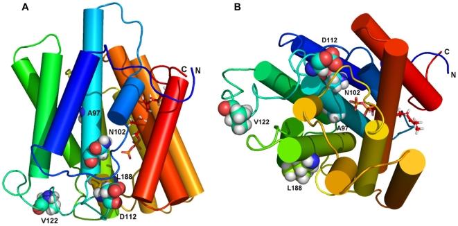 https://cdn.ncbi.nlm.nih.gov/pmc/blobs/9125/2874009/9ea74124c876/pone.0010760.g007.jpg