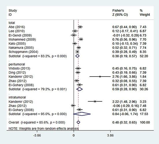https://cdn.ncbi.nlm.nih.gov/pmc/blobs/9125/5356848/f5ae5cf53a7f/oncotarget-08-2863-g002.jpg