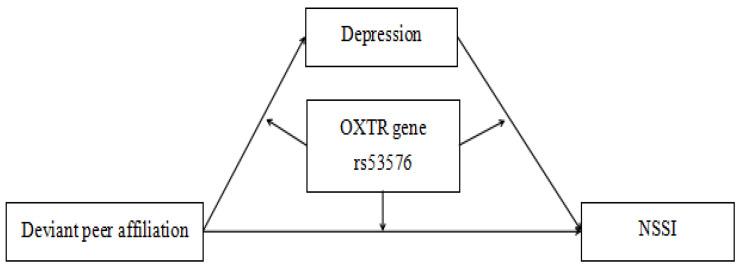 https://cdn.ncbi.nlm.nih.gov/pmc/blobs/912c/11674054/08272ce0dc5e/children-11-01445-g001.jpg