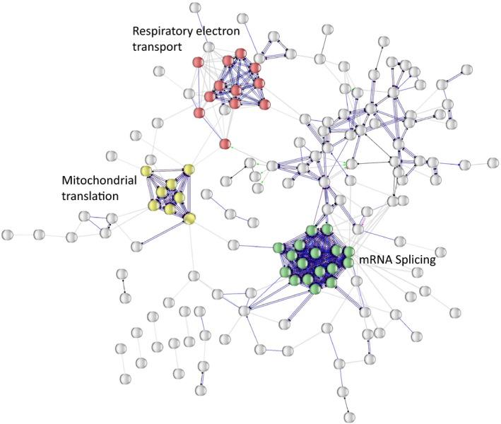 https://cdn.ncbi.nlm.nih.gov/pmc/blobs/912e/7189997/b3f78e1bd5d4/ACEL-19-e13124-g005.jpg