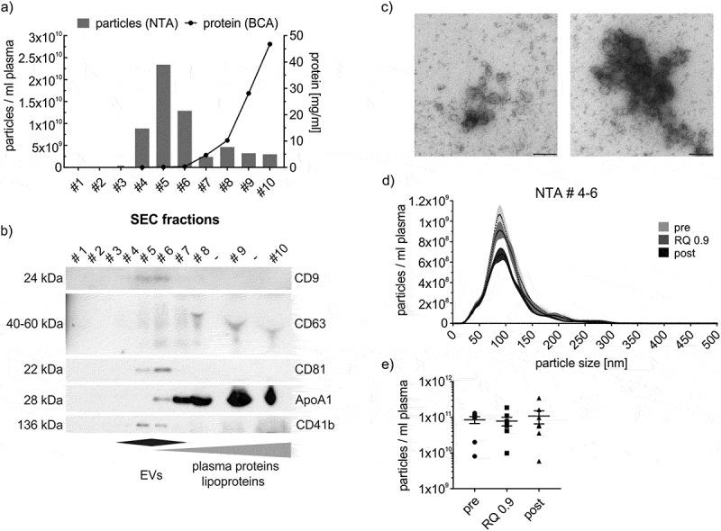 https://cdn.ncbi.nlm.nih.gov/pmc/blobs/912f/6542154/aa0dc558d716/ZJEV_A_1615820_F0003_B.jpg