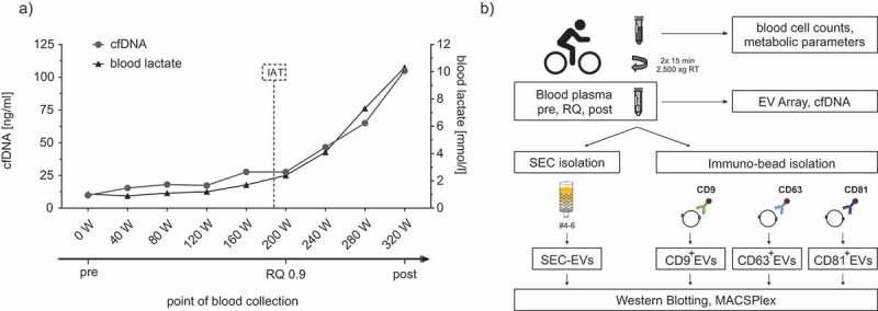 https://cdn.ncbi.nlm.nih.gov/pmc/blobs/912f/6542154/dfa33bb5f453/ZJEV_A_1615820_F0001_OC.jpg