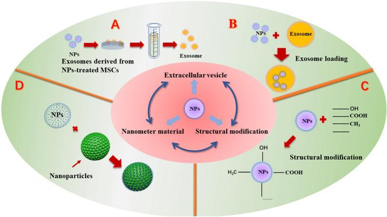 https://cdn.ncbi.nlm.nih.gov/pmc/blobs/9133/10870578/68b0e100c8c3/13020_2024_899_Fig5_HTML.jpg