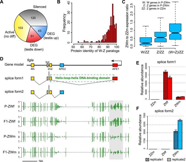 https://cdn.ncbi.nlm.nih.gov/pmc/blobs/9134/3975060/ae48d41fd521/604fig5.jpg