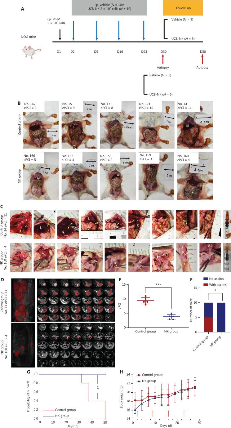 https://cdn.ncbi.nlm.nih.gov/pmc/blobs/9136/11667781/036c531db75f/cbm-21-1078-g005.jpg