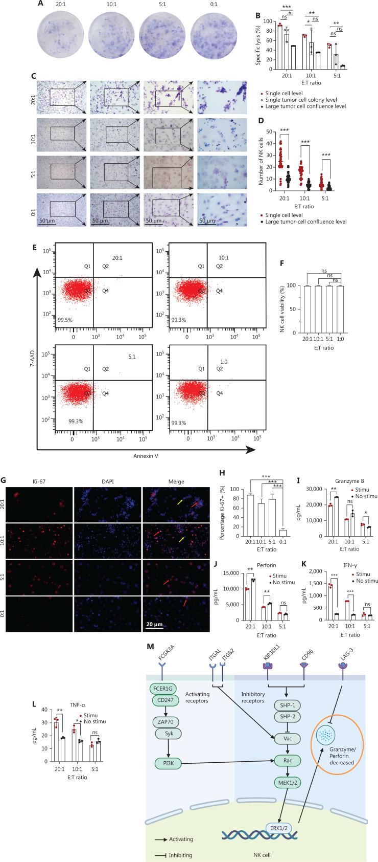 https://cdn.ncbi.nlm.nih.gov/pmc/blobs/9136/11667781/1cf5e08d9d82/cbm-21-1078-g004.jpg