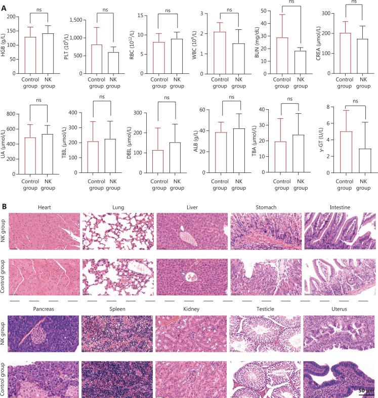 https://cdn.ncbi.nlm.nih.gov/pmc/blobs/9136/11667781/8bdaad16cc36/cbm-21-1078-g007.jpg