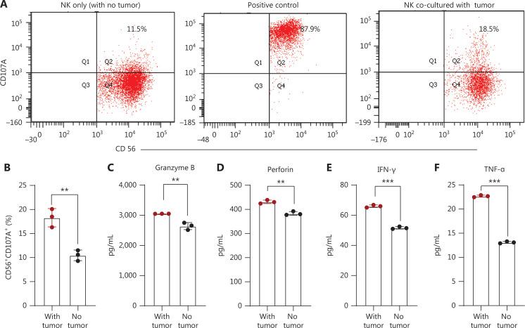 https://cdn.ncbi.nlm.nih.gov/pmc/blobs/9136/11667781/a4d36990a86b/cbm-21-1078-g003.jpg