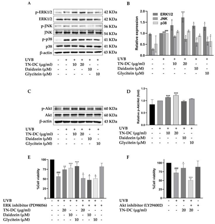 https://cdn.ncbi.nlm.nih.gov/pmc/blobs/9136/11989635/74c5ce551aa4/ijms-26-03418-g006.jpg