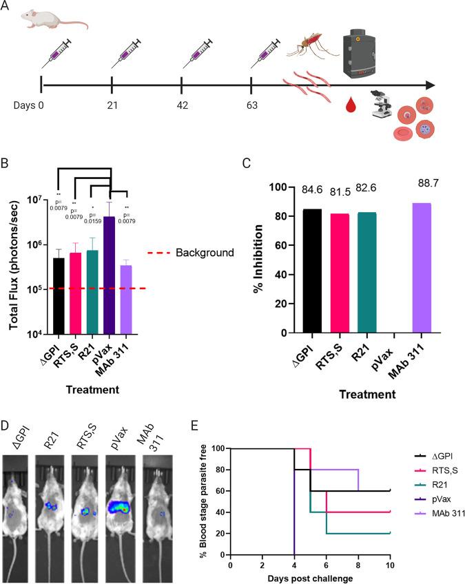 https://cdn.ncbi.nlm.nih.gov/pmc/blobs/9138/8445182/5b803df35429/iai.00728-20-f005.jpg