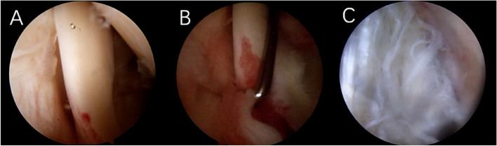 https://cdn.ncbi.nlm.nih.gov/pmc/blobs/9139/10176717/efb244e18022/12891_2023_6497_Fig5_HTML.jpg