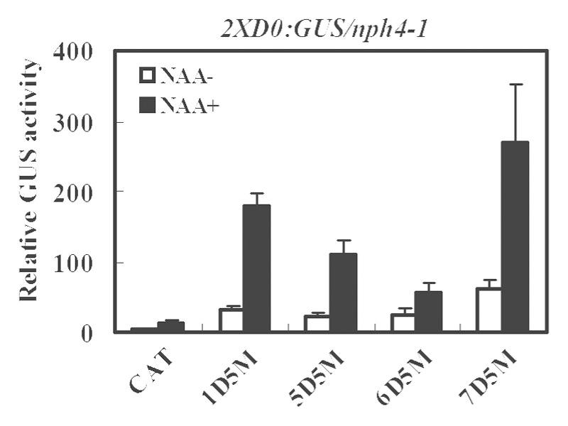 https://cdn.ncbi.nlm.nih.gov/pmc/blobs/9139/3909085/d3b7296785f7/psb-8-e24526-g3.jpg