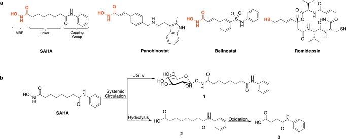 https://cdn.ncbi.nlm.nih.gov/pmc/blobs/913a/4467547/8859ac7e9c19/jm-2015-005392_0001.jpg