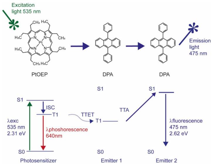 https://cdn.ncbi.nlm.nih.gov/pmc/blobs/913b/9138547/5991b07bcc68/biomedicines-10-01070-g001.jpg