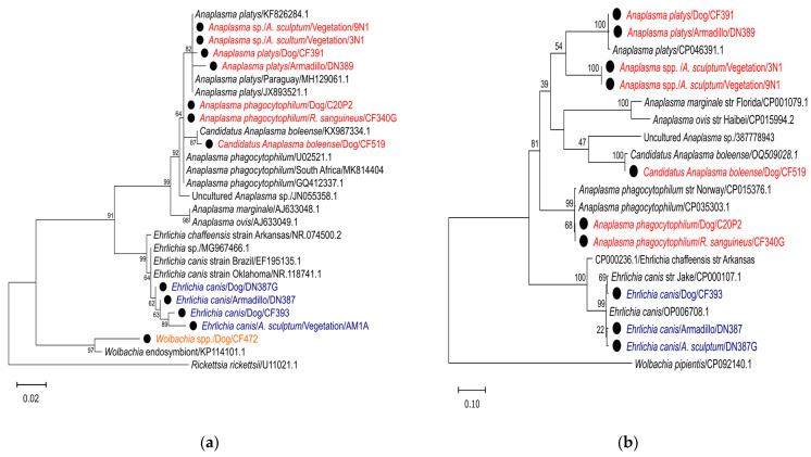 https://cdn.ncbi.nlm.nih.gov/pmc/blobs/913d/11433689/6cea11339ff1/microorganisms-12-01893-g005.jpg