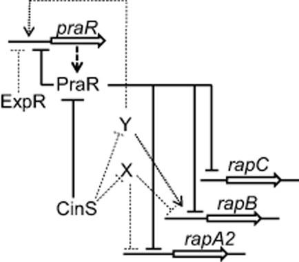 https://cdn.ncbi.nlm.nih.gov/pmc/blobs/913f/4149787/4afb653e5c8b/mmi0093-0464-f9.jpg