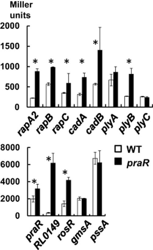 https://cdn.ncbi.nlm.nih.gov/pmc/blobs/913f/4149787/66397e6febc7/mmi0093-0464-f3.jpg