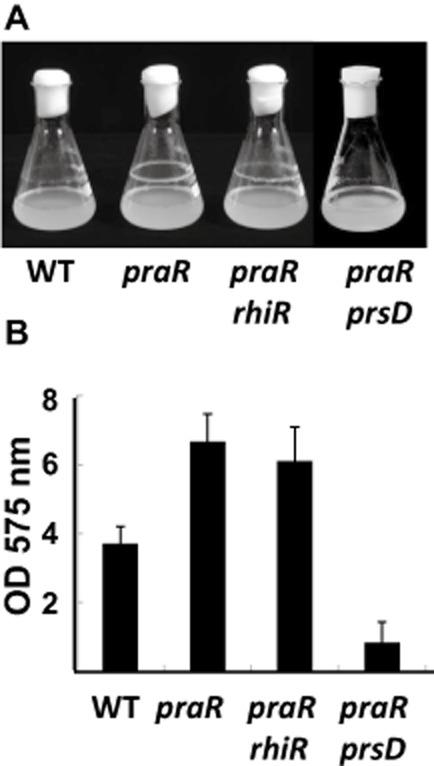 https://cdn.ncbi.nlm.nih.gov/pmc/blobs/913f/4149787/e077bbec9475/mmi0093-0464-f1.jpg