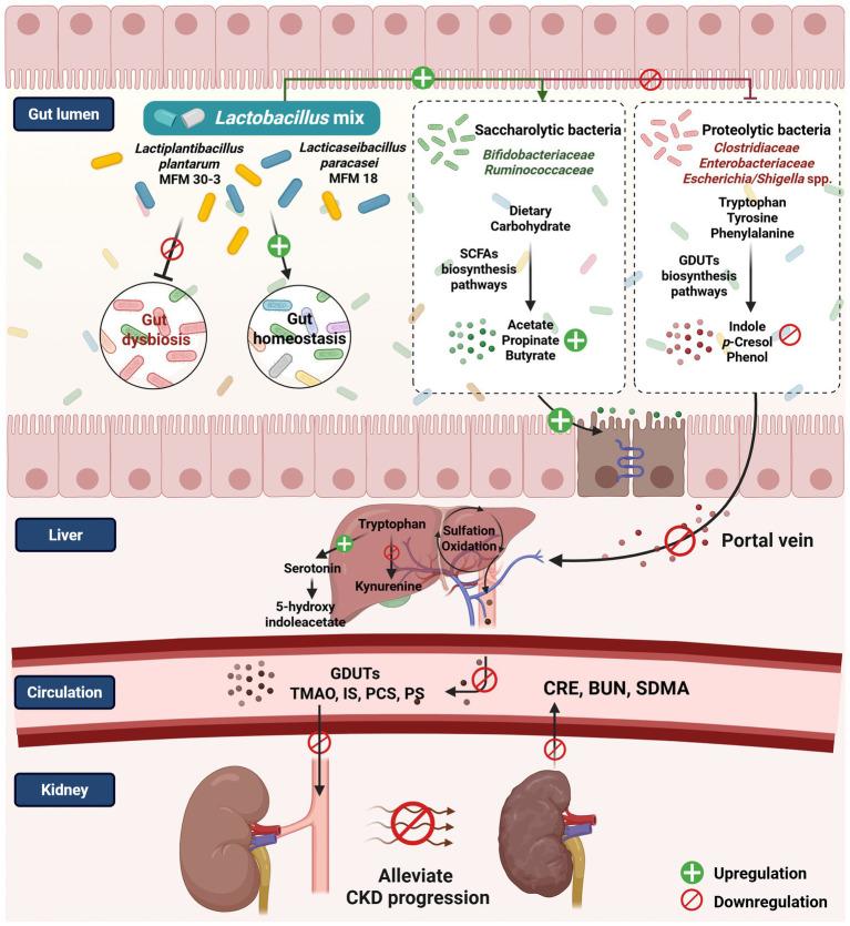 https://cdn.ncbi.nlm.nih.gov/pmc/blobs/9142/12213445/6f8b2b1a6347/fvets-12-1590388-g008.jpg