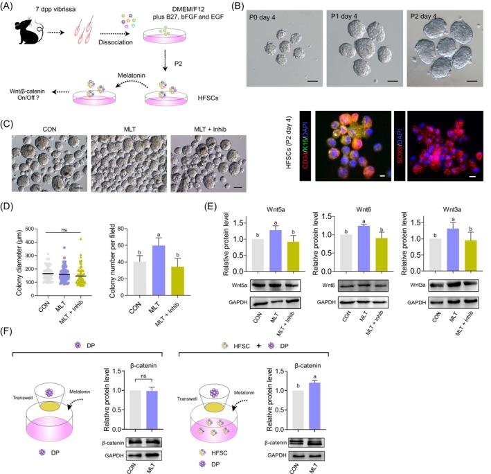 https://cdn.ncbi.nlm.nih.gov/pmc/blobs/9143/11503254/d153248a9c6f/CPR-57-e13656-g001.jpg