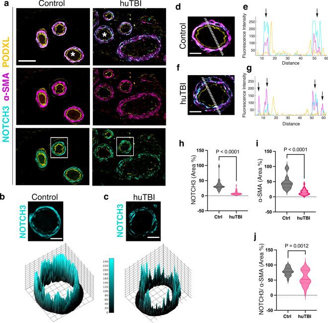 https://cdn.ncbi.nlm.nih.gov/pmc/blobs/9144/11754316/4fb95d1050c7/401_2025_2848_Fig2_HTML.jpg