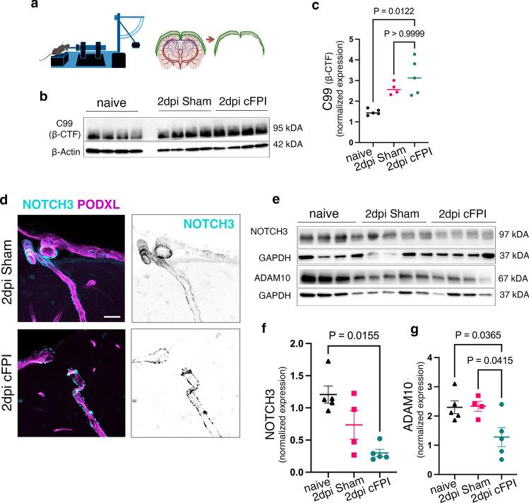 https://cdn.ncbi.nlm.nih.gov/pmc/blobs/9144/11754316/c21b752683df/401_2025_2848_Fig9_HTML.jpg