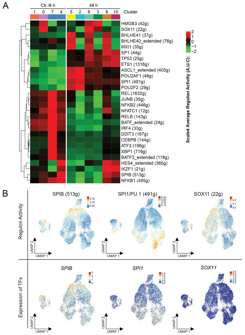 https://cdn.ncbi.nlm.nih.gov/pmc/blobs/9144/7956352/11d806a1e4e3/ijms-22-02276-g004.jpg