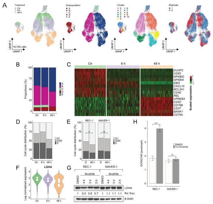 https://cdn.ncbi.nlm.nih.gov/pmc/blobs/9144/7956352/f786b9a98a93/ijms-22-02276-g003.jpg