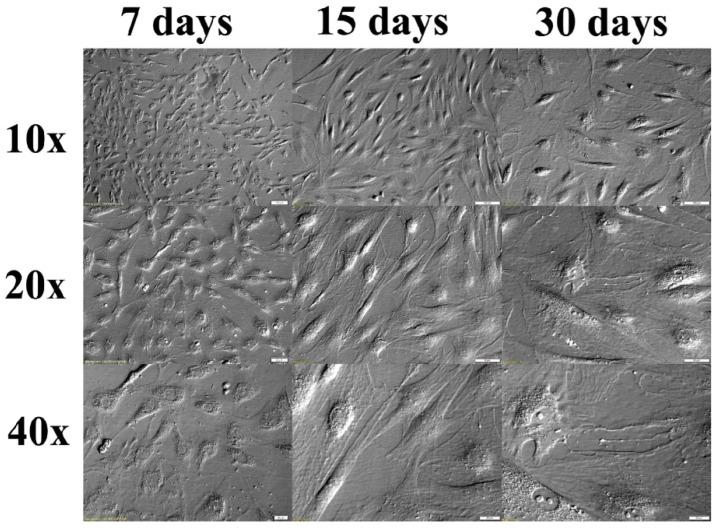 https://cdn.ncbi.nlm.nih.gov/pmc/blobs/9145/7690285/a40bb28c730d/animals-10-01938-g002.jpg