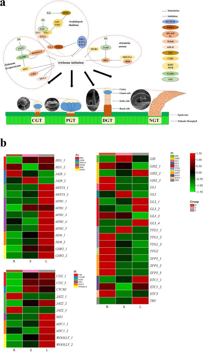 https://cdn.ncbi.nlm.nih.gov/pmc/blobs/9147/8214284/2dbaafabb795/12870_2021_3069_Fig5_HTML.jpg