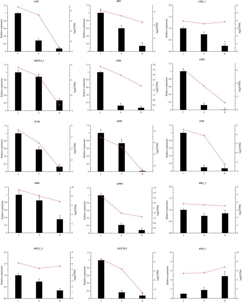 https://cdn.ncbi.nlm.nih.gov/pmc/blobs/9147/8214284/447f2b24a990/12870_2021_3069_Fig6_HTML.jpg