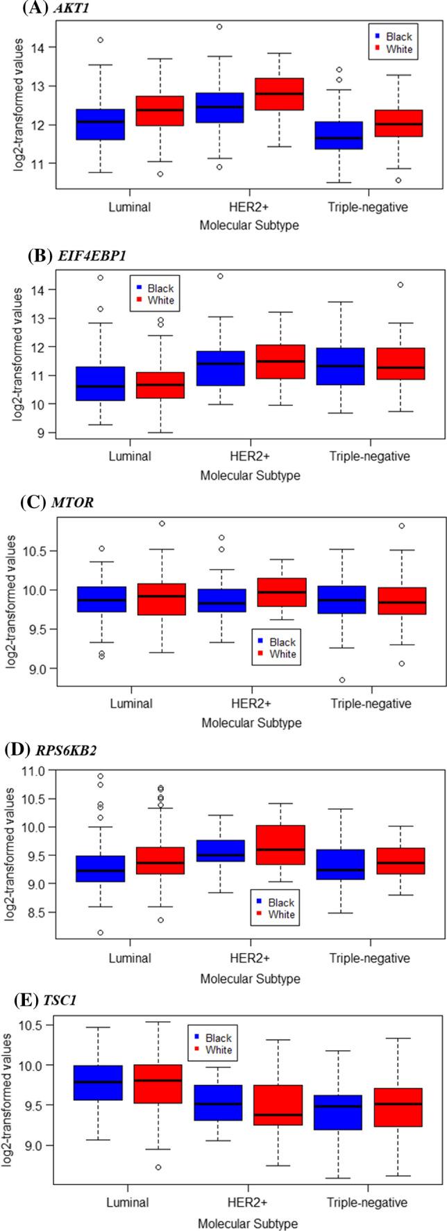 https://cdn.ncbi.nlm.nih.gov/pmc/blobs/9147/9130392/966c83364818/12672_2022_497_Fig2_HTML.jpg